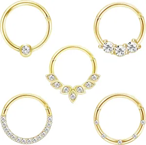 Drperfect Daith Earrings 16G Stainless Steel Cartilage Helix Tragus Nose Hoop Piercing Jewelry 8MM 10mm Silver Gold Rose Gold Black Plated CZ Hinged Septum Clicker Rings