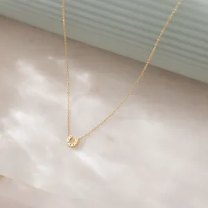 Tiny Horseshoe Necklace